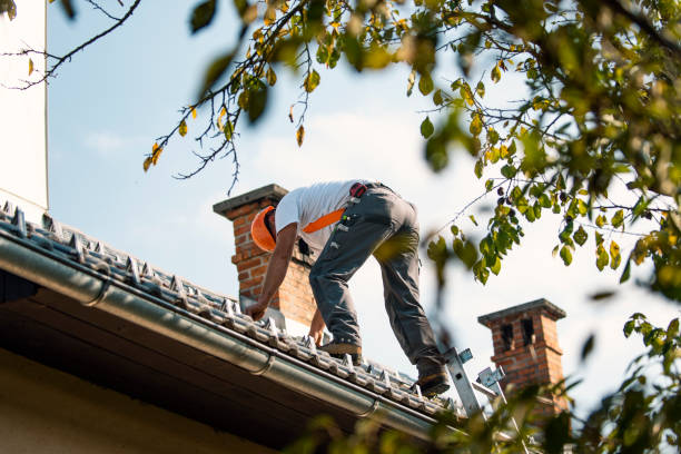 Best Flat Roof Repair Services  in Old Forge, PA