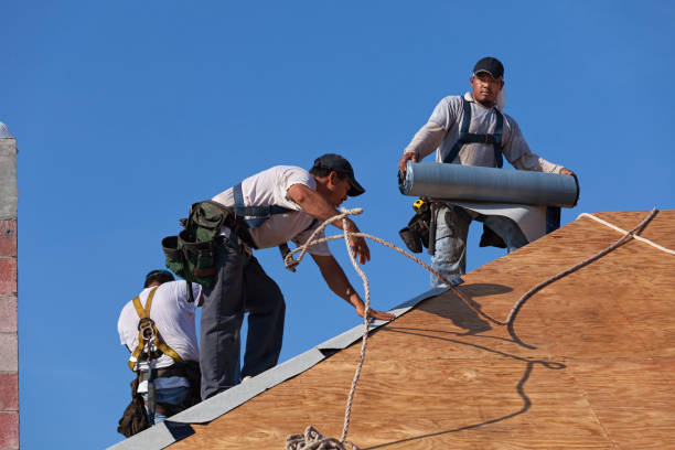 Best Roof Gutter Cleaning  in Old Forge, PA