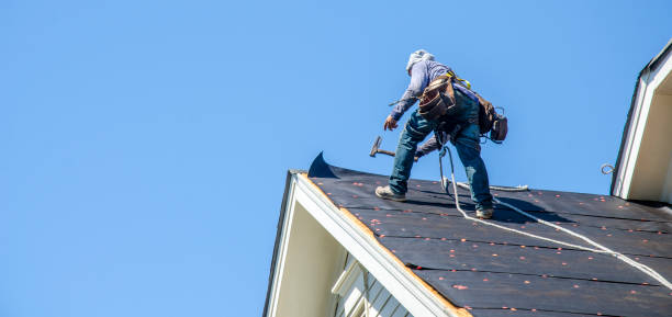 Best Shingle Roofing Installation  in Old Forge, PA